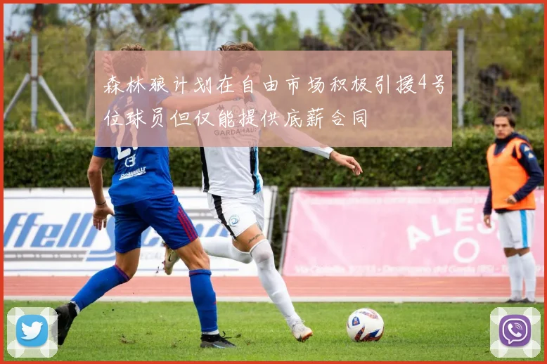 森林狼计划在自由市场积极引援4号位球员但仅能提供底薪合同