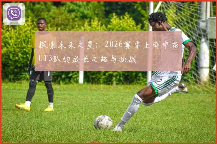 探索未来之星：2026赛季上海申花U13队的成长之路与挑战