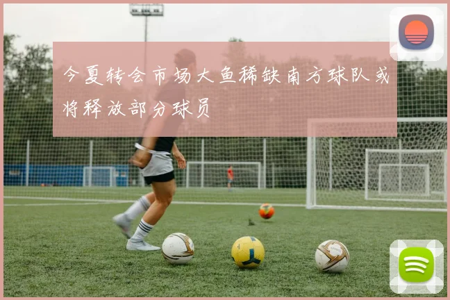 今夏转会市场大鱼稀缺南方球队或将释放部分球员